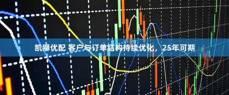 凯狮优配 客户与订单结构持续优化，25年可期